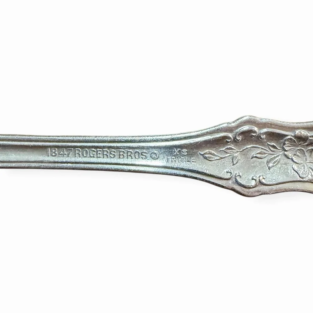 1847 Rogers Bros Vintage Grape‎ Teaspoon Replacement